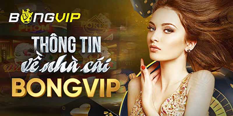 Thông tin về nhà cái bongvip cho anh em tham khảo