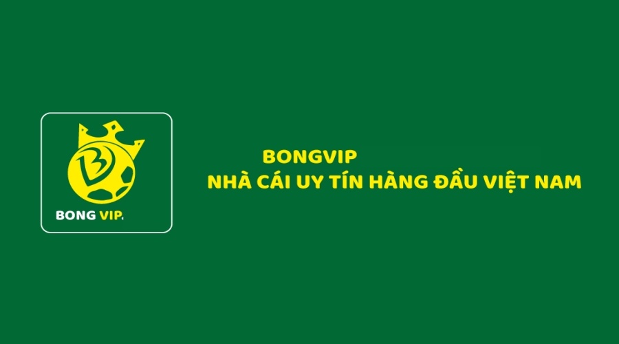 Bóng vip – Sân chơi cá cược giúp cược thủ làm giàu số 1