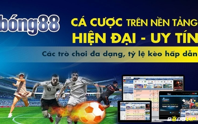 Cách vào BONG88 - Những dịch vụ mà BONG88 cung cấp 