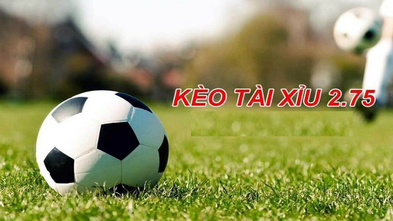 Kèo tài xỉu 2.75 - Bí kíp soi kèo tài xỉu 2.75 chuẩn xác nhất