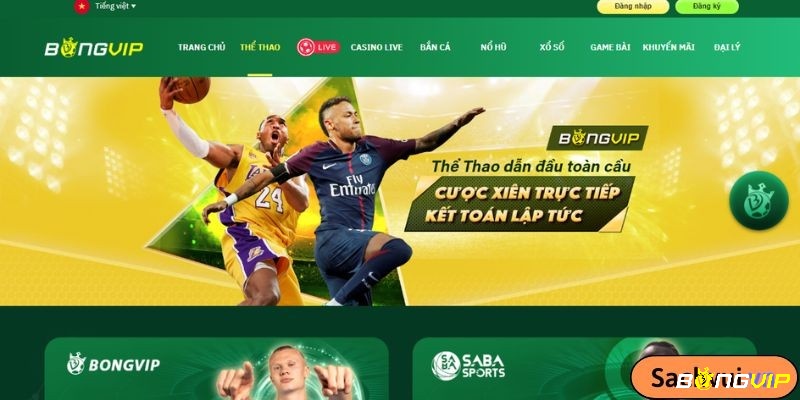 Bong vip com - Nhà cái cá cược online hàng đầu Việt Nam