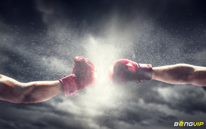 Luật chơi cá cược boxing mà bạn cần biết