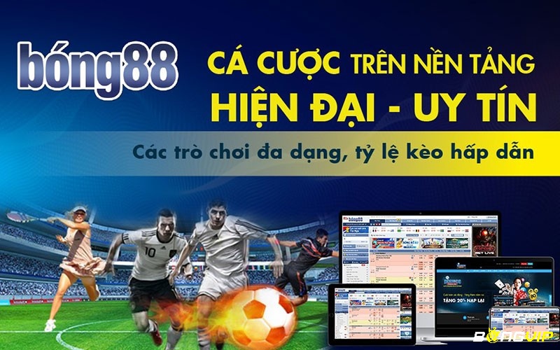 Tổng quan về Bong88 - Đường link vào Bong88.