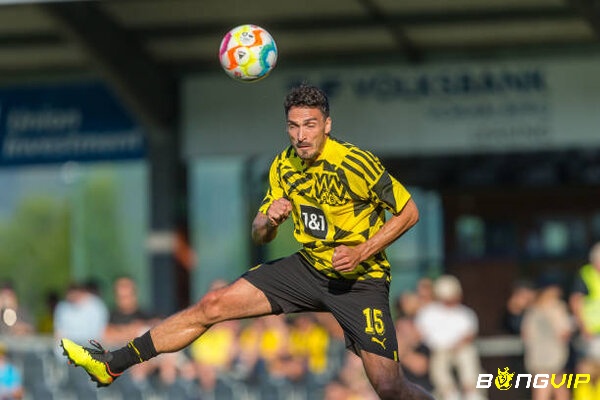 Hummels là một trong những hậu vệ kỳ cựu tại Bundesliga