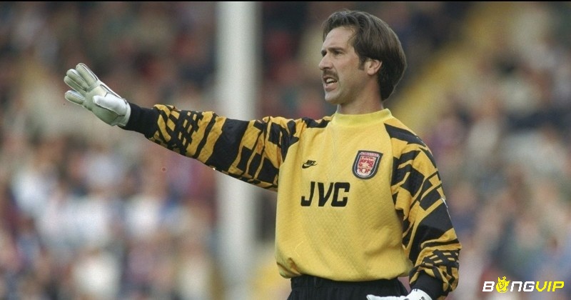 David Seaman - Đội hình xuất sắc nhất Arsenal