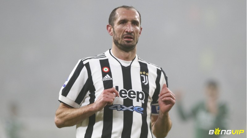 Giorgio Chiellini hậu vệ chắc chắn tạo sự tin tưởng trước khung thành