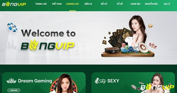 Lựa chọn Bongvip để tham gia cá cược đảm bảo uy tín và bảo mật thông tin