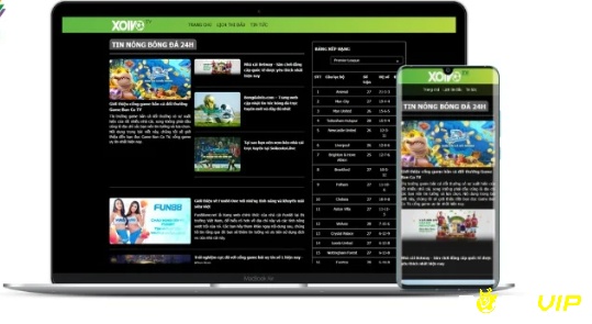 Web Xoivo.tv chất lượng 