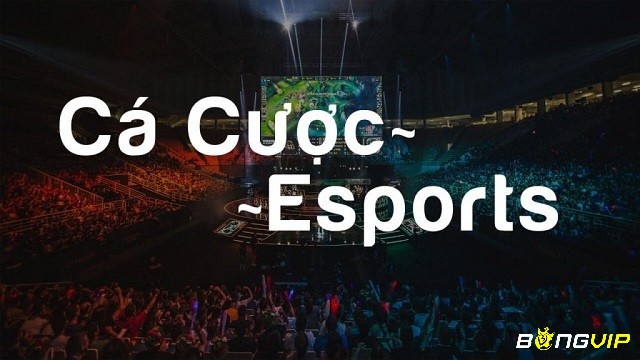 Hình thức cá độ eSports online