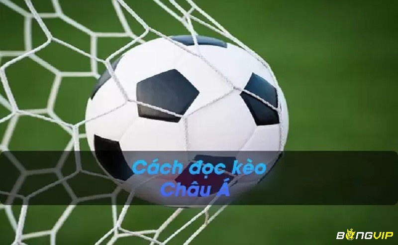 Cách đọc kèo châu Á chuẩn & hiệu quả