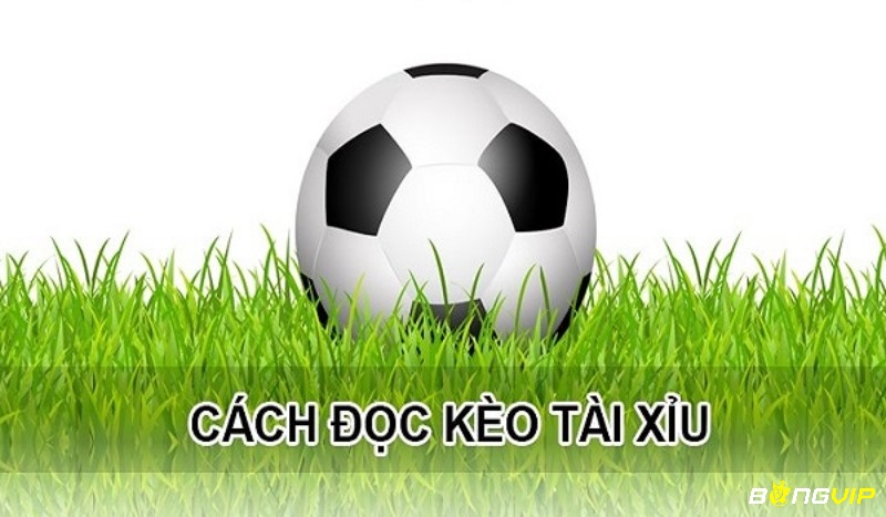 Cách đọc kèo Tài Xỉu 2 trái