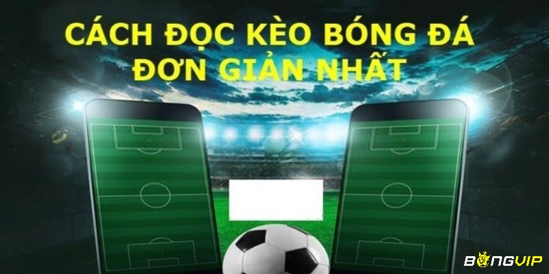 Cách đọc tỷ lệ kèo bóng đá