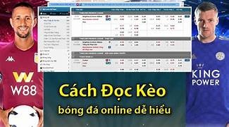 Cách đọc tỷ lệ kèo bóng đá chi tiết nhất, dễ hiểu, dễ áp dụng