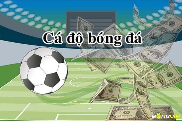 Mẹo cá độ bóng đá hiệu quả