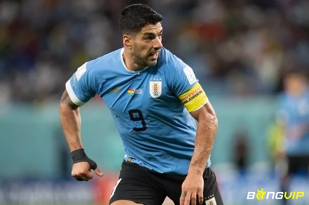 Tiểu sử Luis Suarez và những thông tin nổi bật nhất về chân sút này