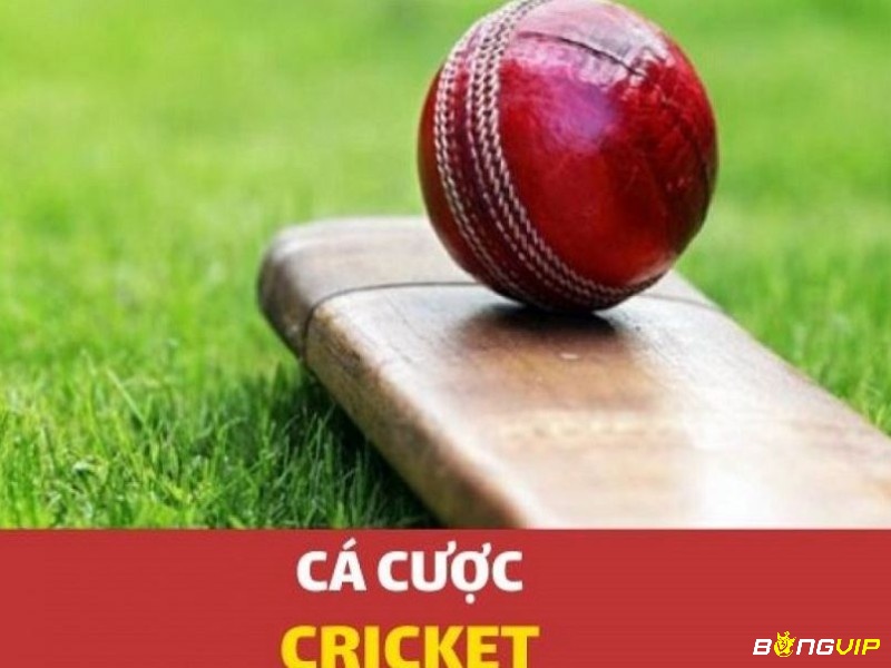 Cá độ cricket online là gì?