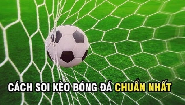 Cách chơi cá độ bóng đá an toàn và hiệu quả ai cũng nên biết