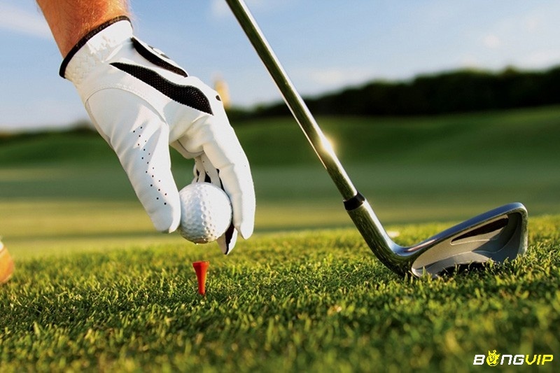 Cách đọc tỷ lệ kèo Golf chuẩn, dễ hiểu cho người mới