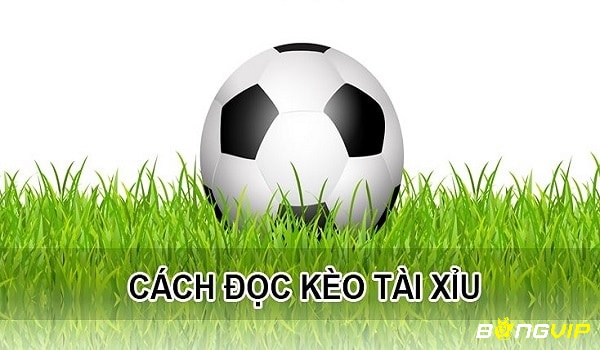 Các yếu tố cần chú ý trong cách xem kèo bóng đá tài xỉu