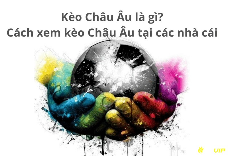 Hướng dẫn cách xem kèo Châu Âu tại nhà cái