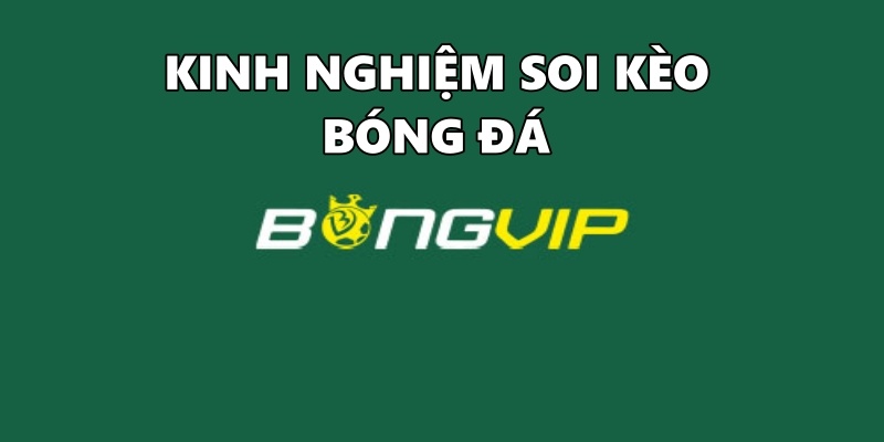 Kinh nghiệm soi kèo bóng đá: Kinh nghiệm soi kèo từ Bongvip