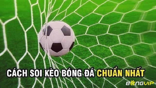 Những mẹo chơi cá độ bóng đá - Phương pháp tham gia cá độ bóng đá hiệu quả