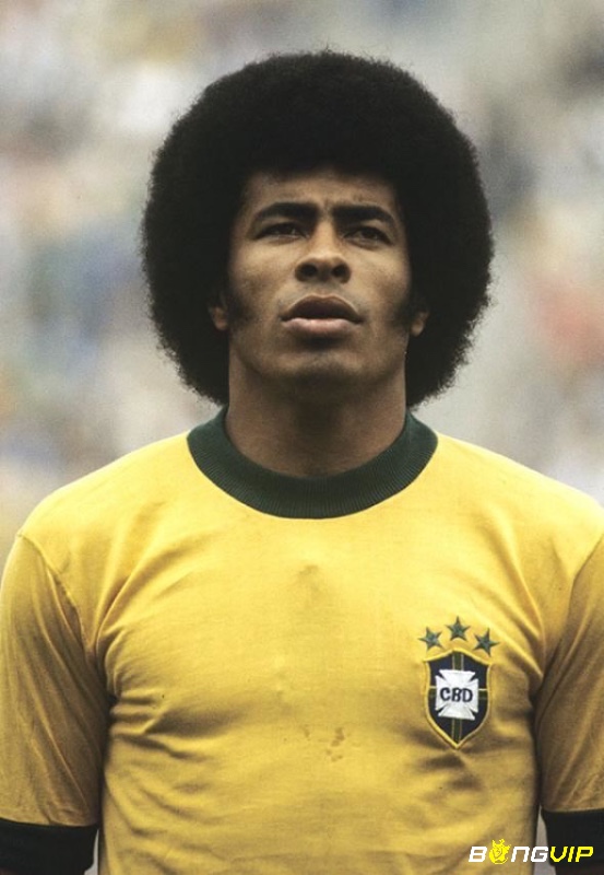 Tiểu sử Jairzinho - Thành tích và giải thưởng của Jairzinho