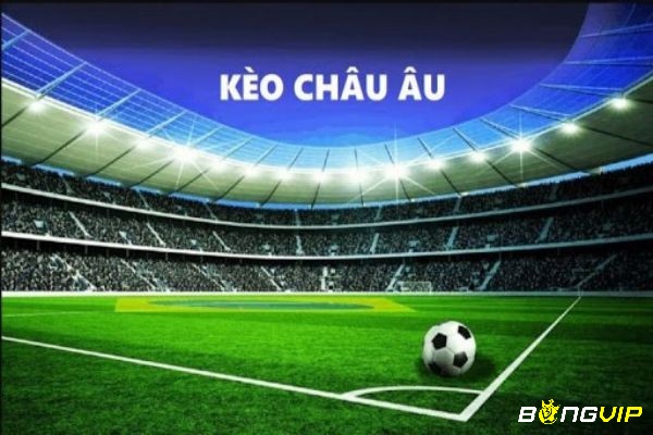 Cùng BONGVIP tìm hiểu về cách đọc tỷ lệ kèo châu Âu nhé!