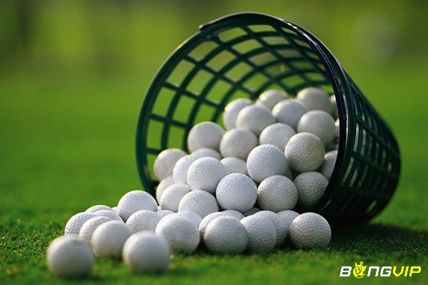 Bóng golf là dụng cụ chơi golf quan trọng