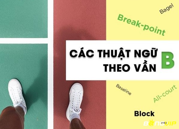 Thuật ngữ trong tennis theo vần B