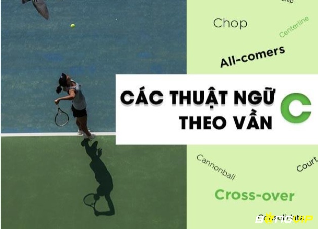 Thuật ngữ trong tennis theo vần C