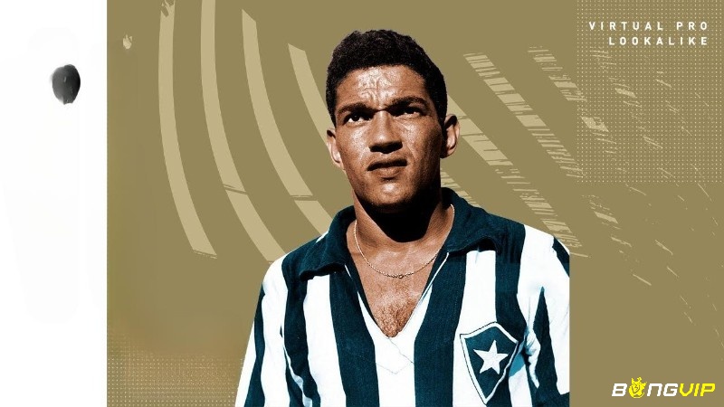 Garrincha gắn bó với Botafogo sau hơn 20 năm