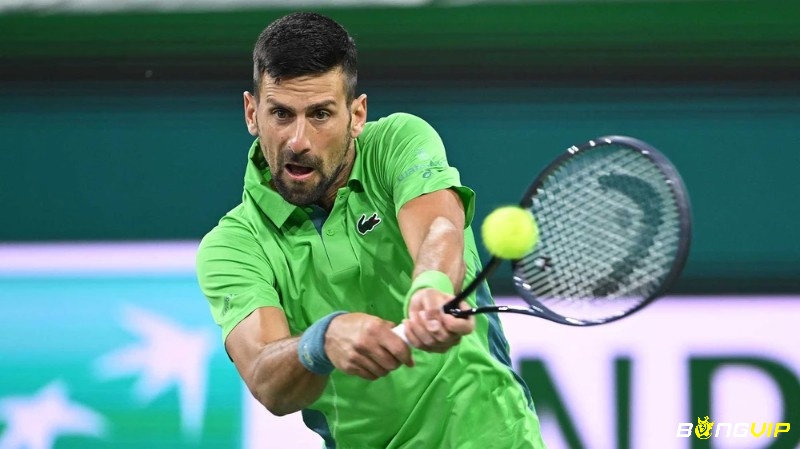 Novak Djokovic là 1 trong những tay vợt hàng đầu thế giới