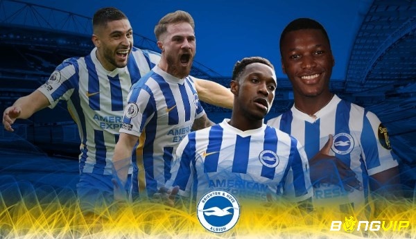 Tìm hiểu thông tin về CLB Brighton