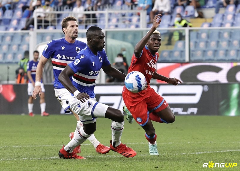 Thành tích của CLB Sampdoria