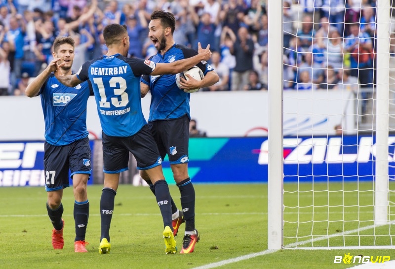 Hoffenheim đã gặt hái được những thành tích đáng ngưỡng mộ trên đấu trường bóng đá quốc tế 