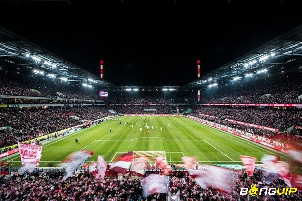 Sân RheinEnergieStadion có sức chứa gần 50.000 khán giả