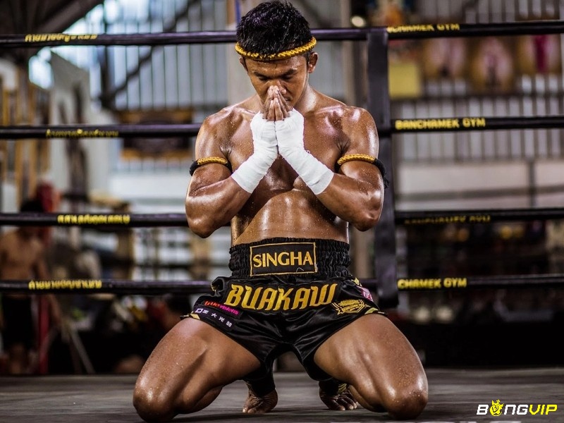 Luật và cách tính điểm boxing quy định về kiểm tra y tế