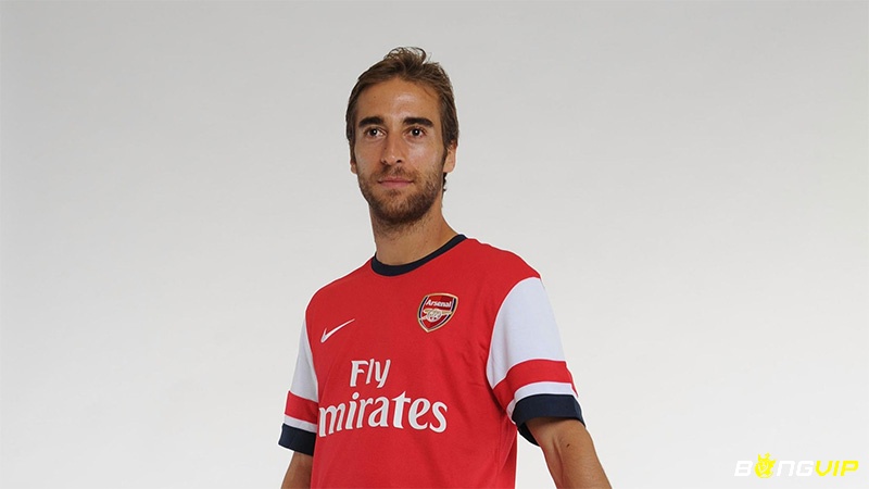 Mathieu Flamini - cầu thủ bóng đá giàu nhất thế giới