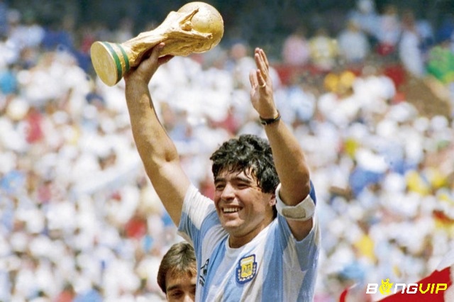 Diego Maradona đã gặt hái được rất nhiều thành công tại đấu trường bóng đá thế giới