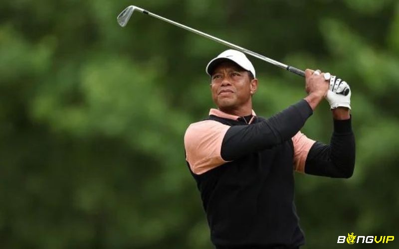 Tiger Woods là một tay golf có tầm nhìn tốt và chuyên nghiệp bậc nhất hiện nay