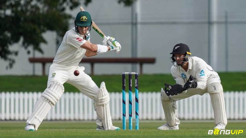 Hai batsmen đứng ở hai đầu pitch, sẵn sàng đánh bóng, trong khi bowler và fielders chuẩn bị phòng thủ
