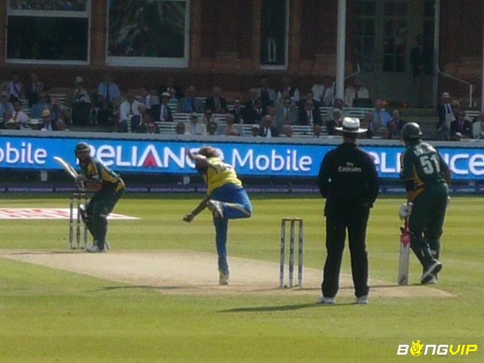 Twenty20 Cricket là thể thức thi đấu nhanh với 20 overs mỗi đội, nổi bật tại IPL và BBL
