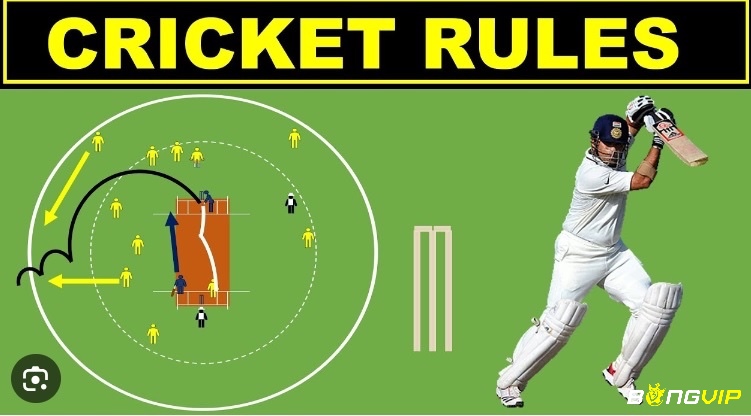 Cùng bongvip tìm hiểu về luật cricket nhé