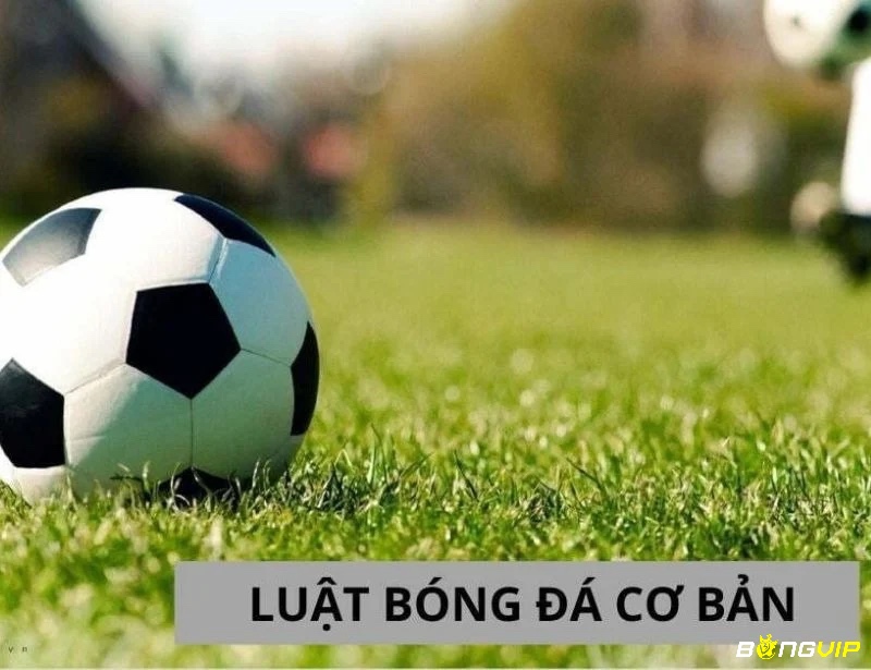 FIFA, IFAB và VFF quản lý luật bóng đá, bao gồm quy định về cầu thủ, thời gian thi đấu, việt vị, phạt đền và thẻ phạt