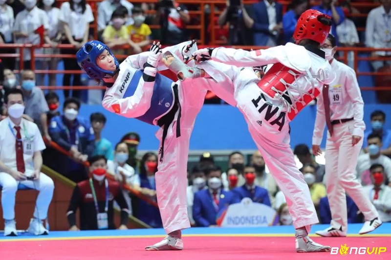 Cùng bongvip tìm hiểu về luật taekwondo nhé