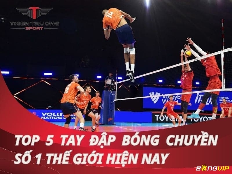 Vận động viên bóng chuyền cao nhất và những kỷ lục ấn tượng