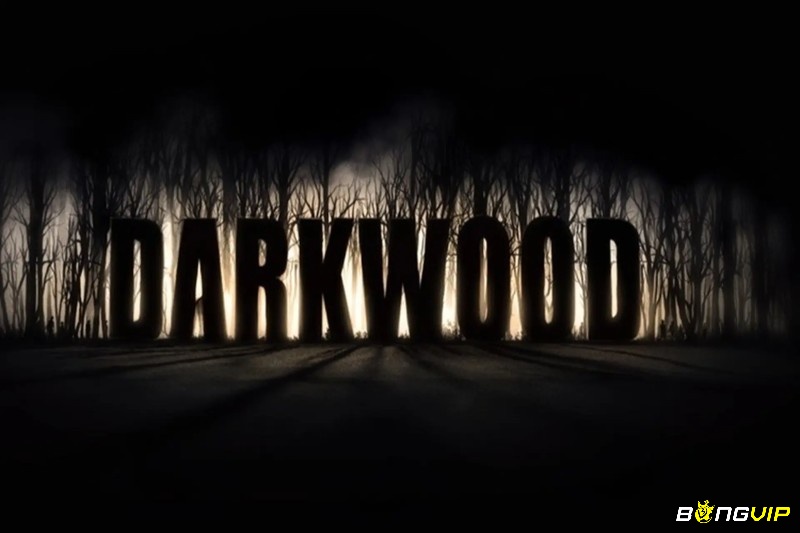 Darkwood đòi hỏi sự kiên nhẫn và tinh thần thép