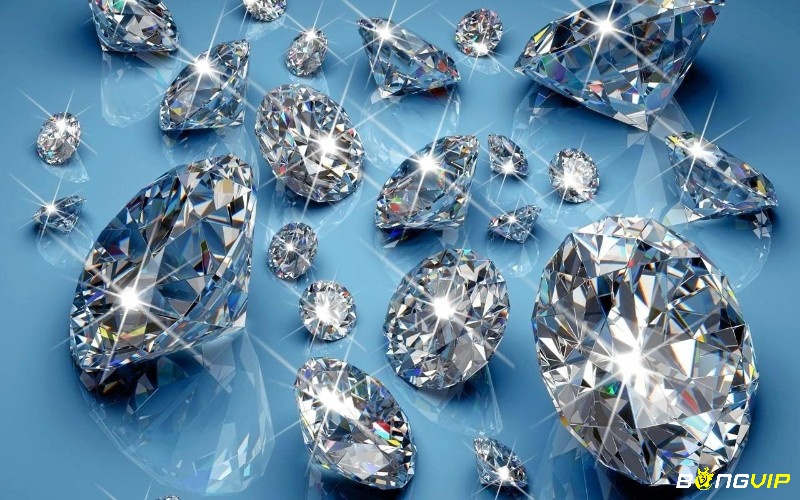 Giấc mơ gây ra sự tò mò đối với nhiều chủ mộng