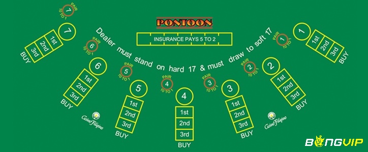 Hiểu rõ luật chơi là một trong những mẹo chơi Pontoon một cách hiệu quả